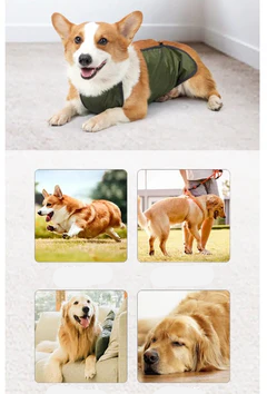 Fascia Addominale Impermeabile per Cani – Traspirante e Regolabile