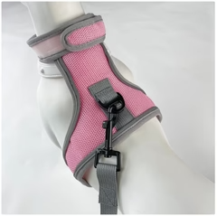 Set Pettorina e Guinzaglio per Gatti con Chiusura in Velcro