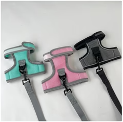 Set Pettorina e Guinzaglio per Gatti con Chiusura in Velcro