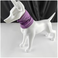 Foulard Rinfrescante Estivo per Cani – Tessuto Traspirante Anti-Calore