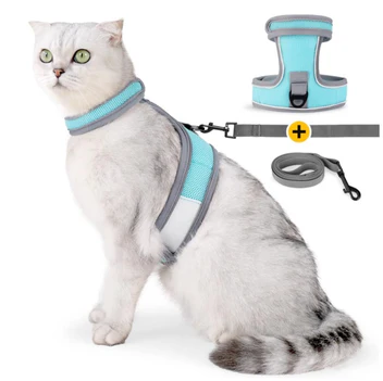 Set Pettorina e Guinzaglio per Gatti con Chiusura in Velcro