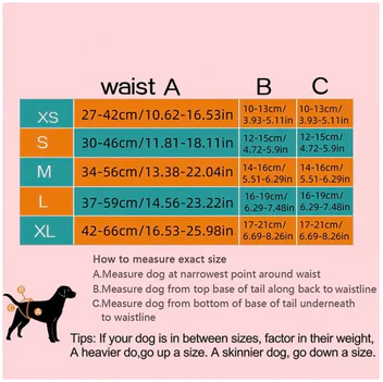 Gonnellina Pannolino per Cagnoline – Assorbente, Elegante e Confortevole
