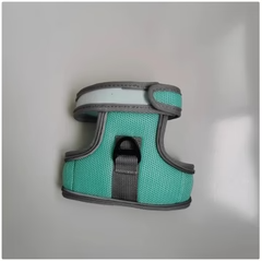 Set Pettorina e Guinzaglio per Gatti con Chiusura in Velcro