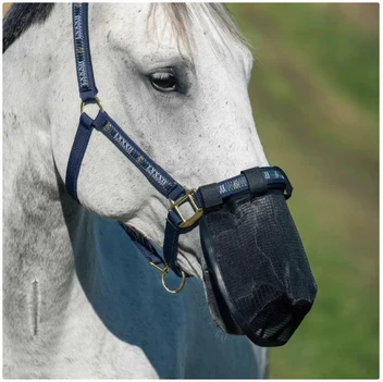 Maschera Anti-Zanzare per Cavalli – Protezione con Stile e Comfort