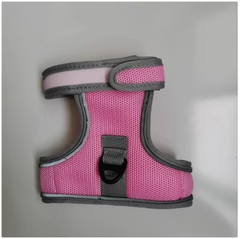 Set Pettorina e Guinzaglio per Gatti con Chiusura in Velcro