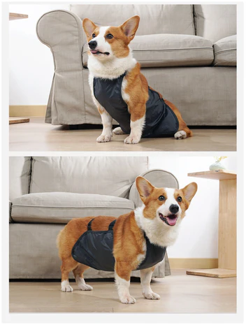 Fascia Addominale Impermeabile per Cani – Traspirante e Regolabile